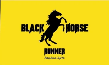Black Horse Runner